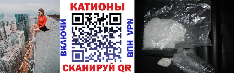 закладка  Архангельск  МЕФ мяу мяу 