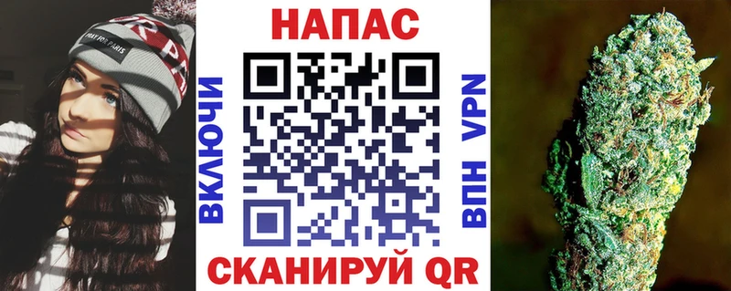 Конопля сатива  где найти   Архангельск 